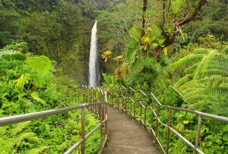 Akaka Falls Loop Trail is a Hiking Trail located in the city of Honomu on Big Island, Hawaii