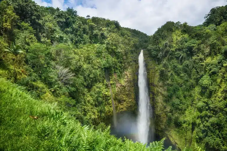 Akaka Falls State Park is a State Park located in the city of Honomu on Big Island, Hawaii