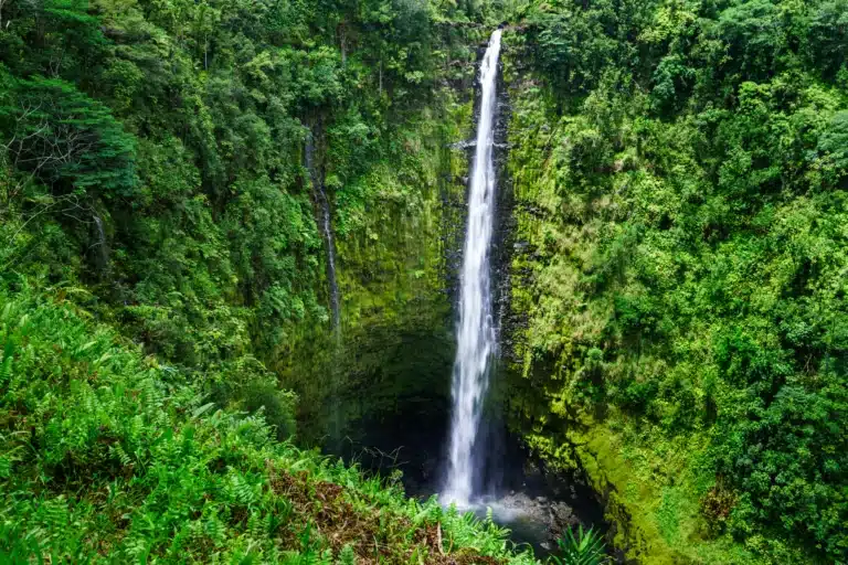 Akaka Falls is a Waterfall located in the city of Honomu on Big Island, Hawaii