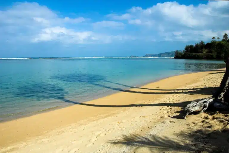 Anini Beach Park is a Beach located in the city of Kilauea on Kauai, Hawaii