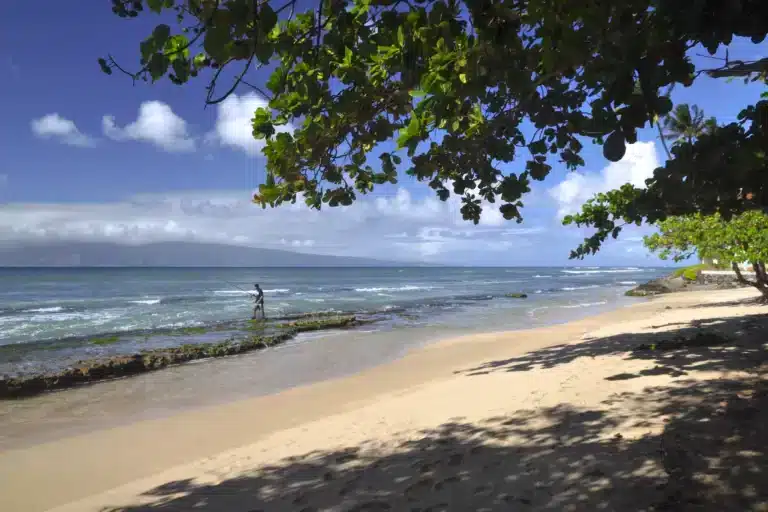 Baldwin Beach Park is a Beach located in the city of Paia on Maui, Hawaii