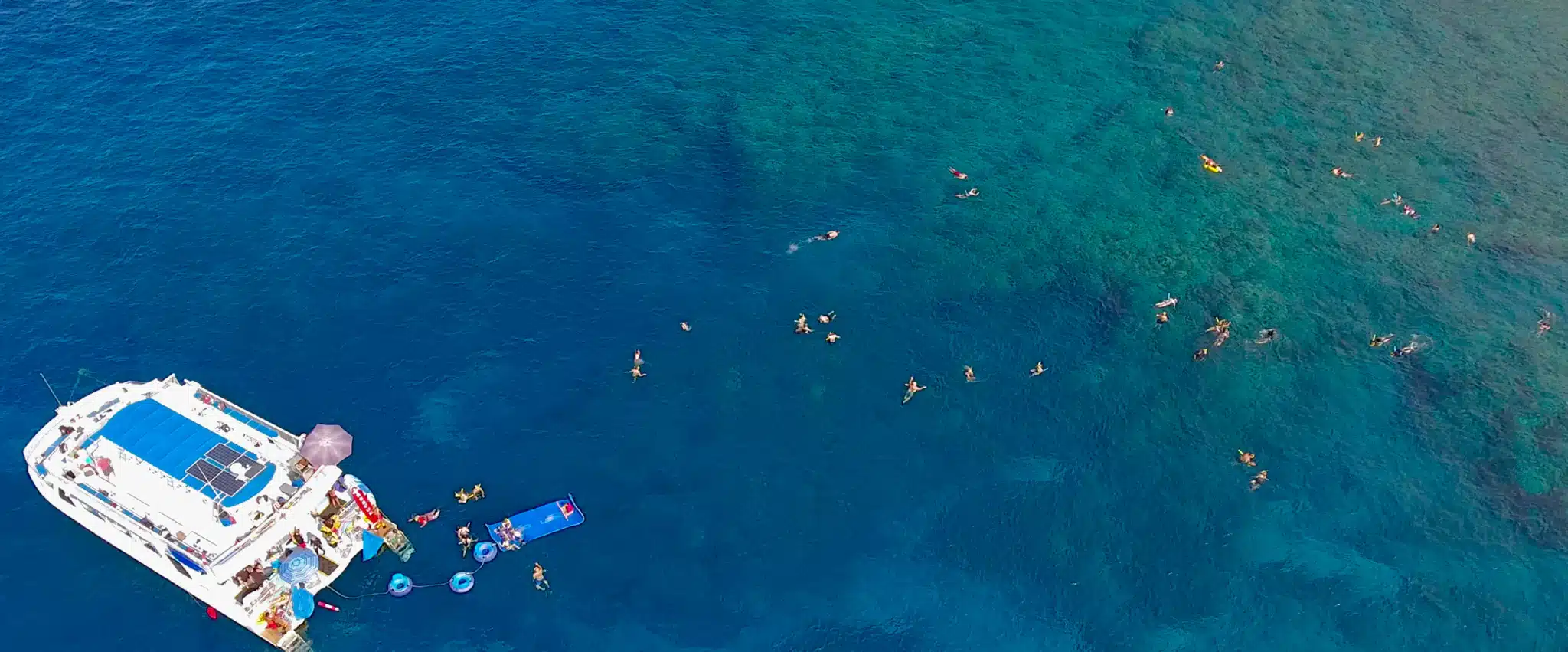 Deluxe Snorkel & Dolphin Watch is a Water Activity located in the city of Kailua-Kona on Big Island, Hawaii