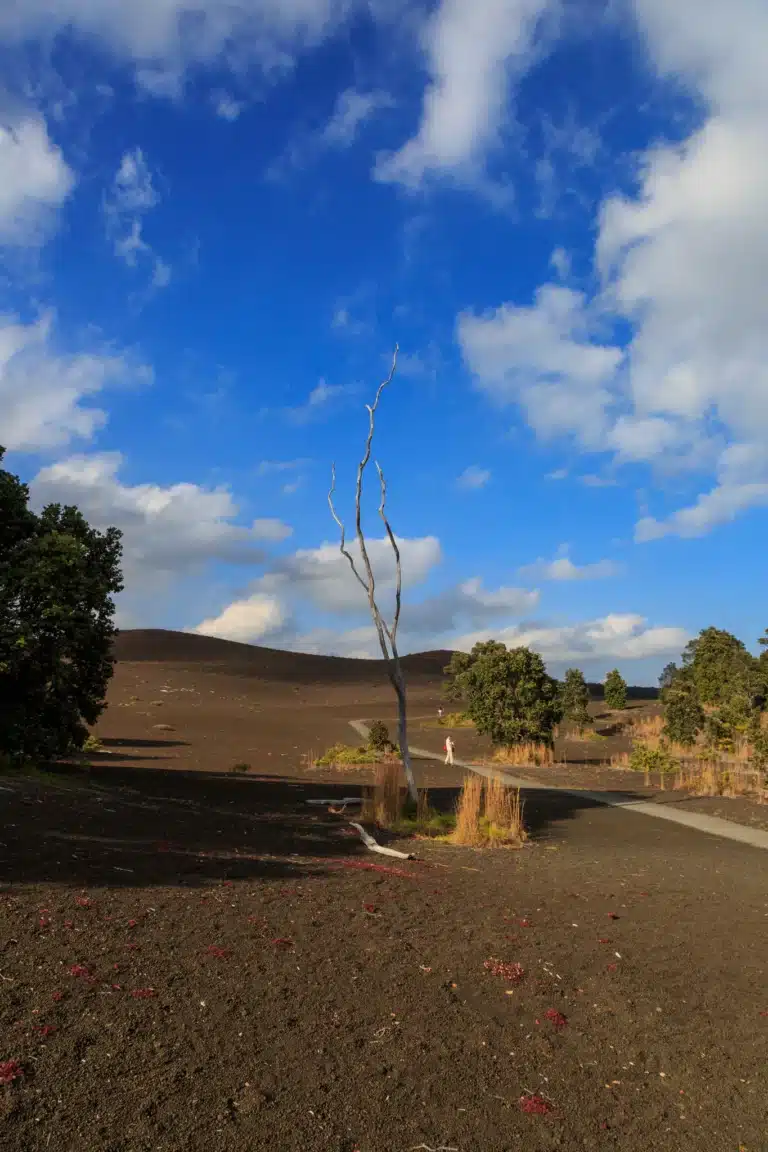 Devastation Trail is a Hiking Trail located in the city of Volcano on Big Island, Hawaii