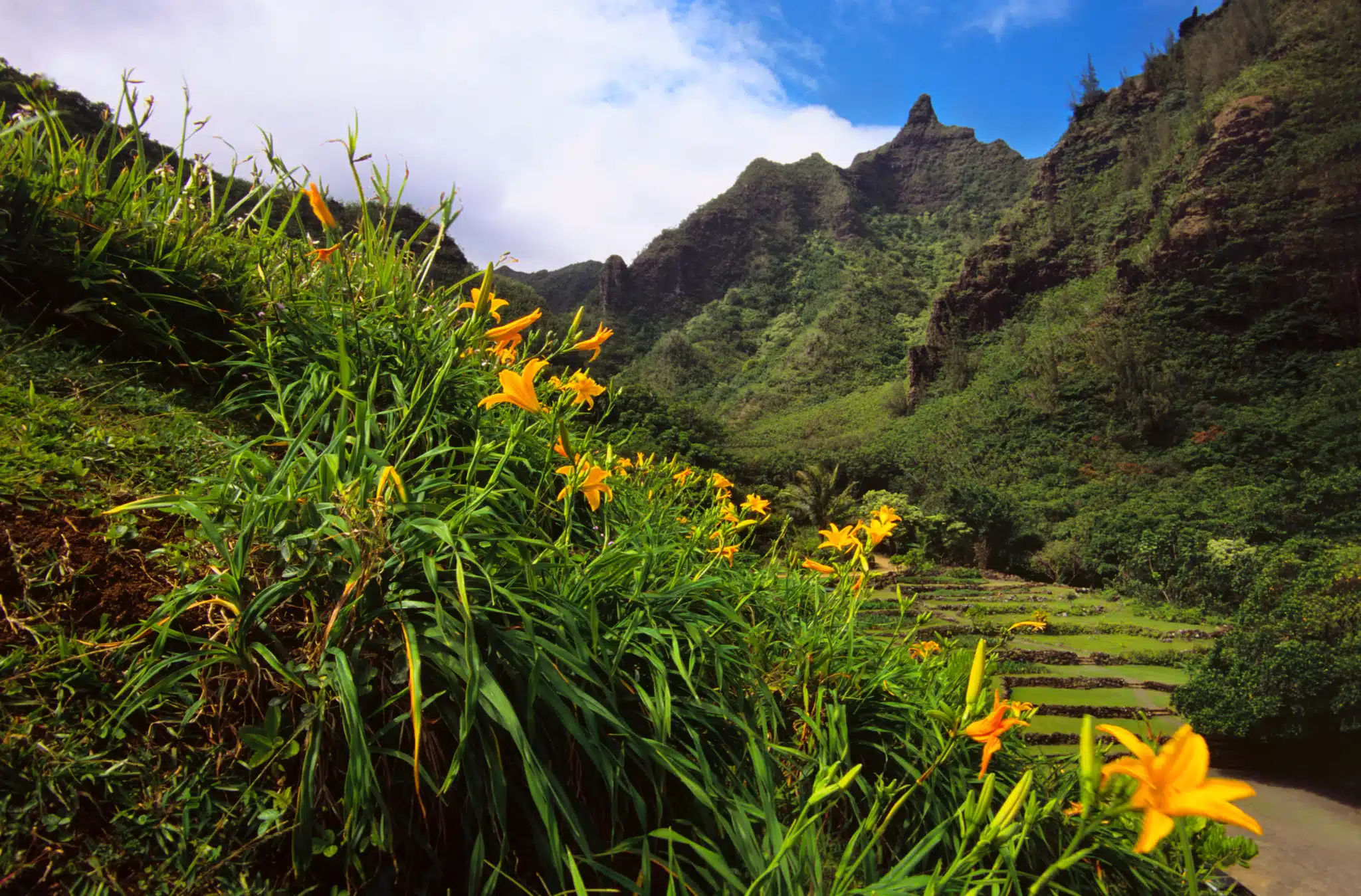 Ha'ena State Park is a State Park located in the city of Hanalei on Kauai, Hawaii