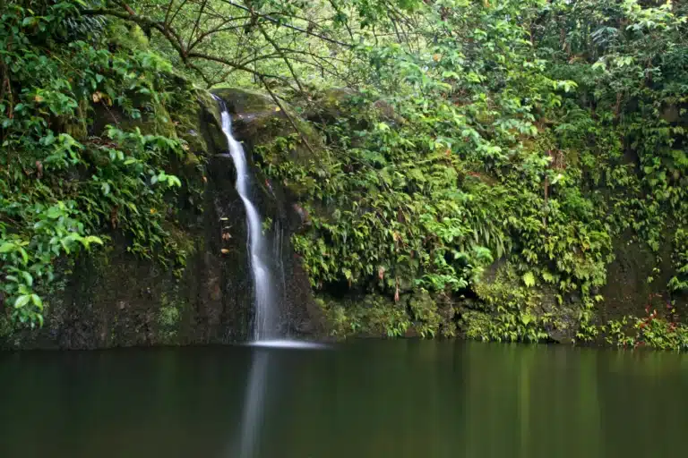 Haipua'ena Falls is a Waterfall located in the city of Hana on Maui, Hawaii