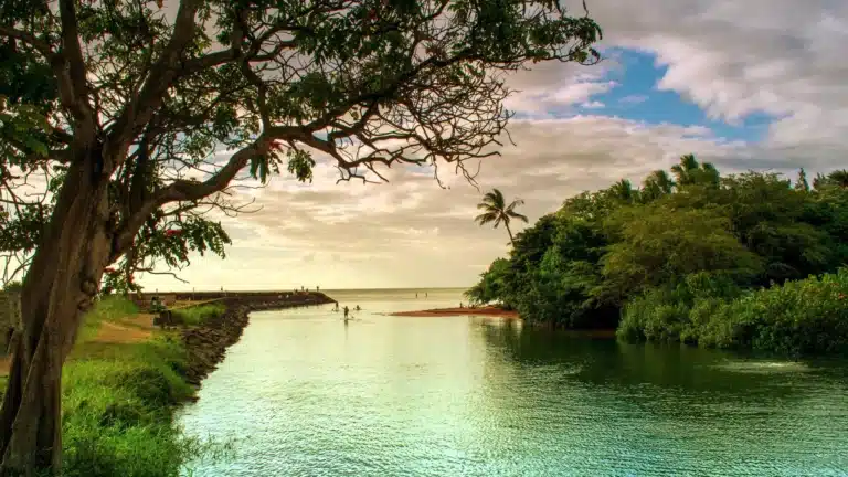 Hale'iwa Beach Park is a Beach located in the city of Haleiwa on Oahu, Hawaii