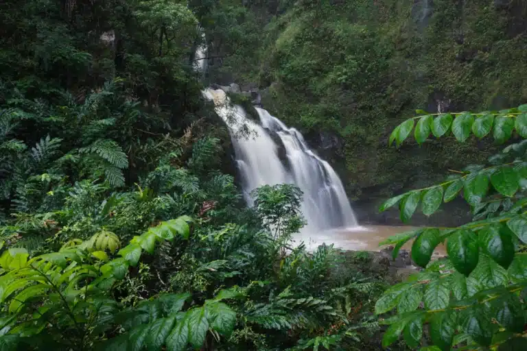 Hanawi Falls is a Waterfall located in the city of Hana on Maui, Hawaii