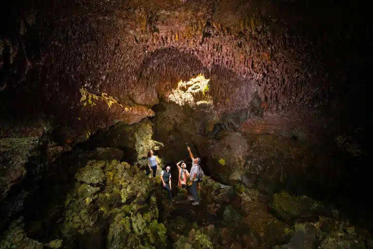 Hidden Craters Hike - Private Ohana Outing is a Land Activity located in the city of Kailua-Kona on Big Island, Hawaii