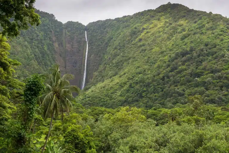 Hi'ilawe Falls is a Waterfall located in the city of Honokaa on Big Island, Hawaii