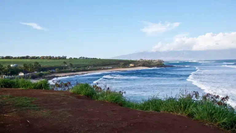 Ho'okipa Beach Park is a Beach located in the city of Paia on Maui, Hawaii