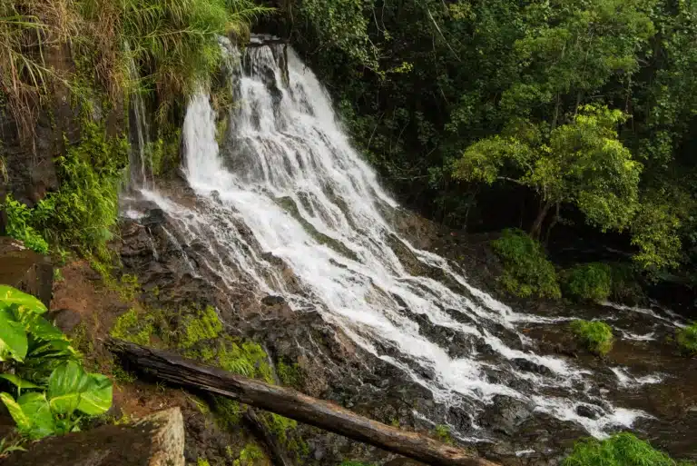 Ho'opi'i Falls is a Waterfall located in the city of Kapaa on Kauai, Hawaii