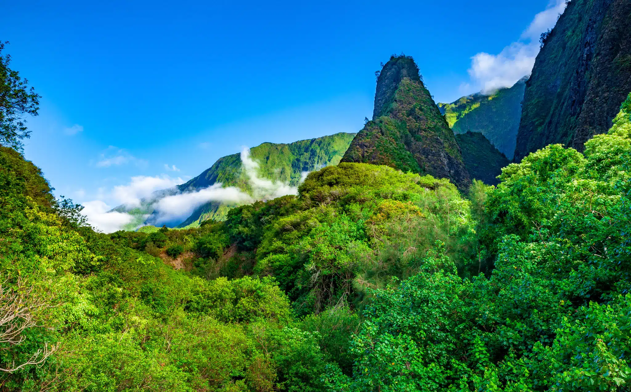Iao Valley State Park Trail is a Hiking Trail located in the city of Wailuku on Maui, Hawaii
