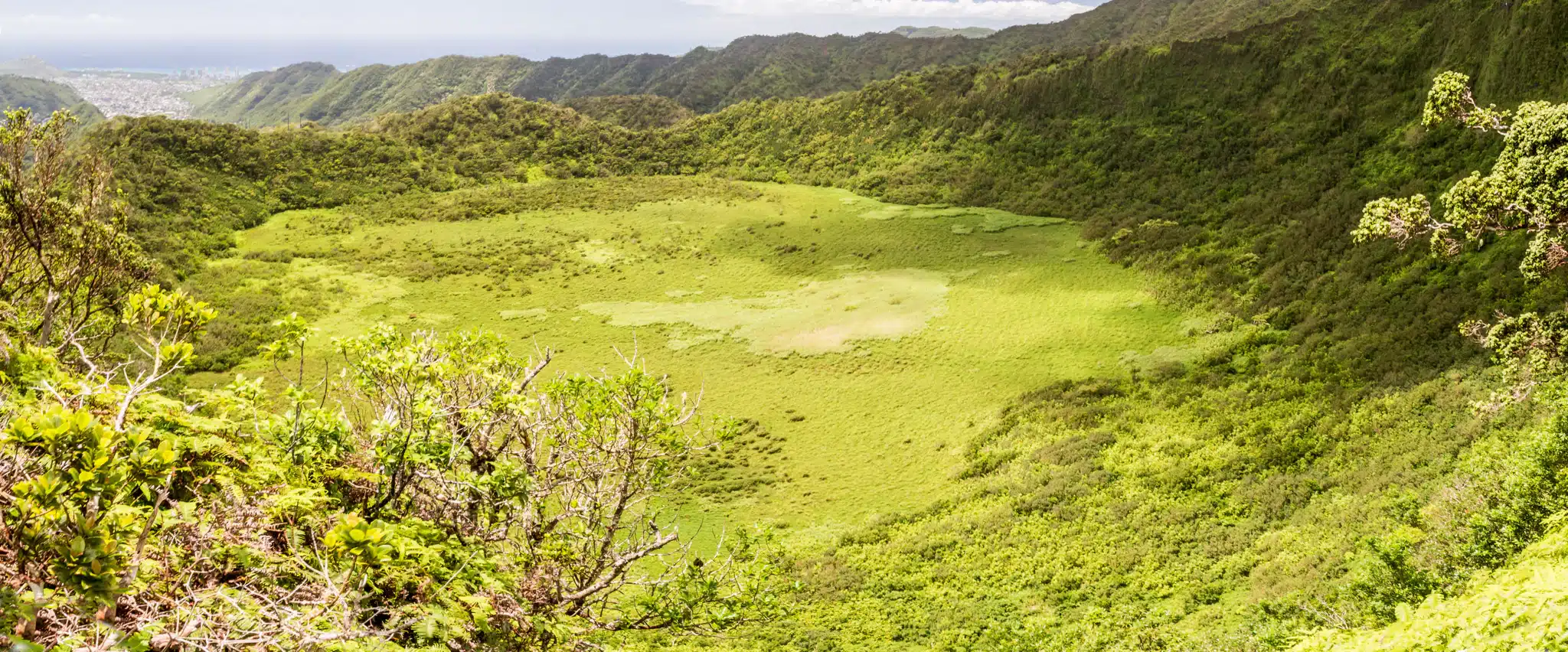 Ka'au Crater Hike is a Hiking Trail located in the city of Honolulu on Oahu, Hawaii