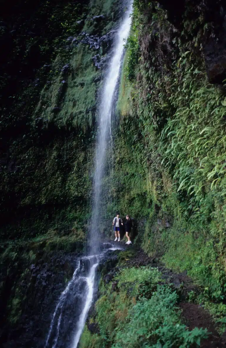 Kapoloa Falls is a Waterfall located in the city of Kapaau on Big Island, Hawaii