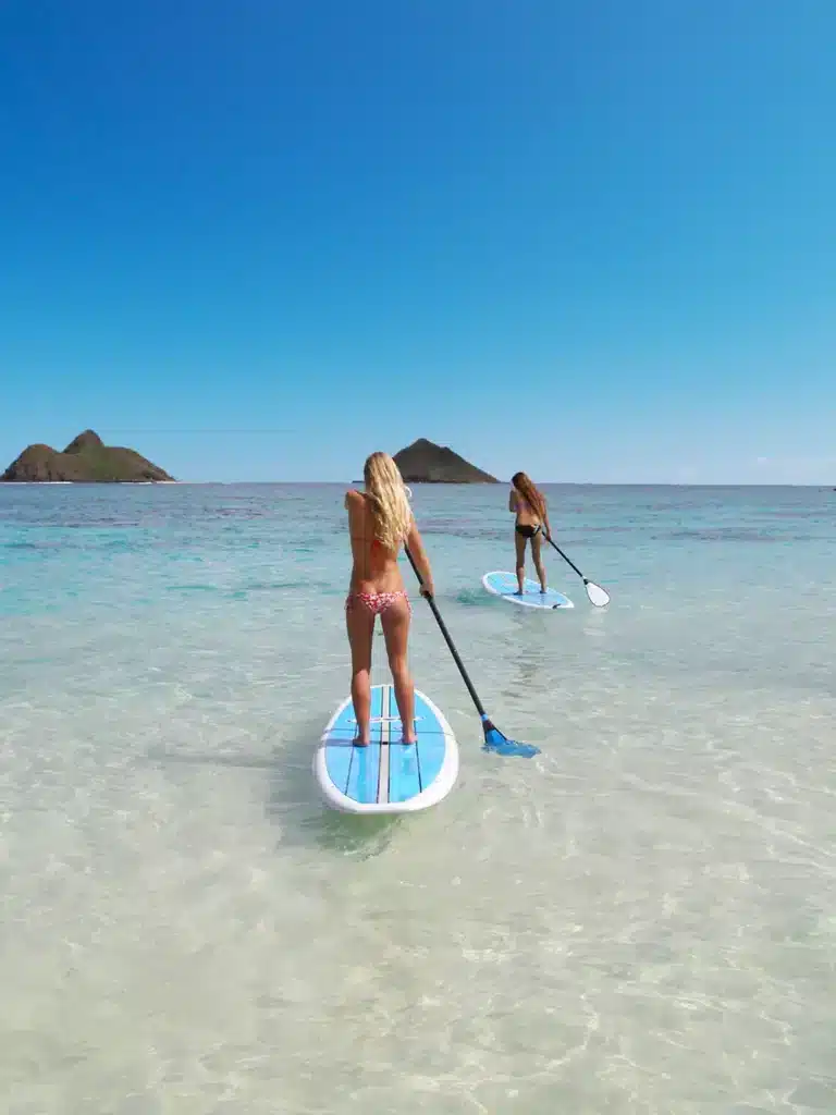 Kayaking, Stand up Paddling & Cleanup in Paradise is a Water Activity located in the city of Kailua on Oahu, Hawaii