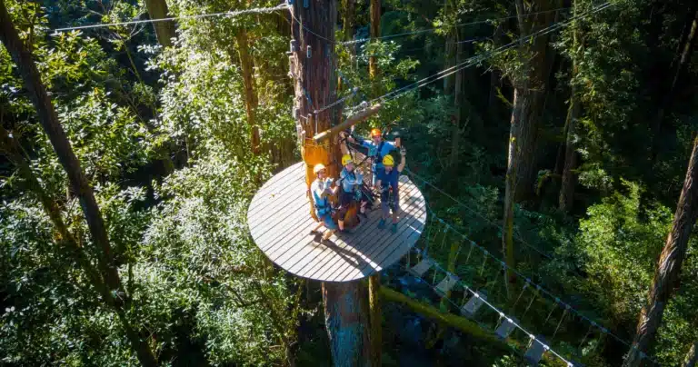 Kohala Canopy Adventure is a Land Activity located in the city of Hawi on Big Island, Hawaii