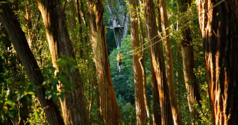 Kohala Zip & Dip is a Land Activity located in the city of Hawi on Big Island, Hawaii