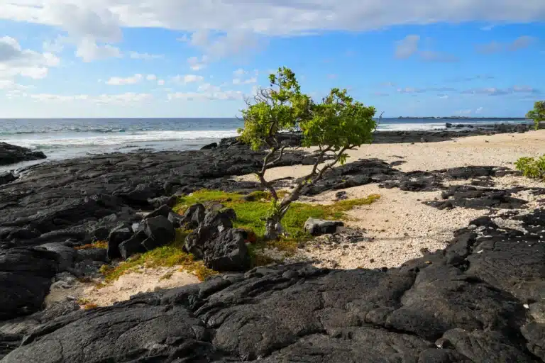 Kohanaiki County Beach Park is a Beach located in the city of Kailua-Kona on Big Island, Hawaii