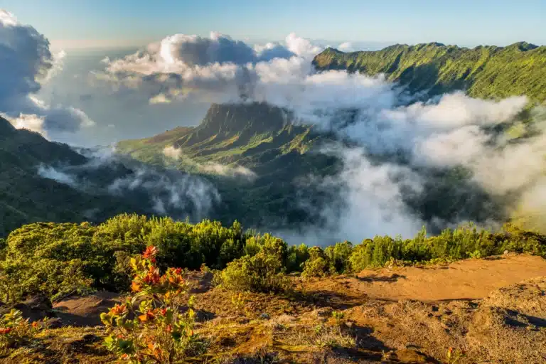 Koke'e State Park is a State Park located in the city of Kekaha on Kauai, Hawaii