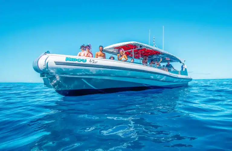Kona Dolphin Watch Double Snorkel Tour is a Water Activity located in the city of Kailua-Kona on Big Island, Hawaii