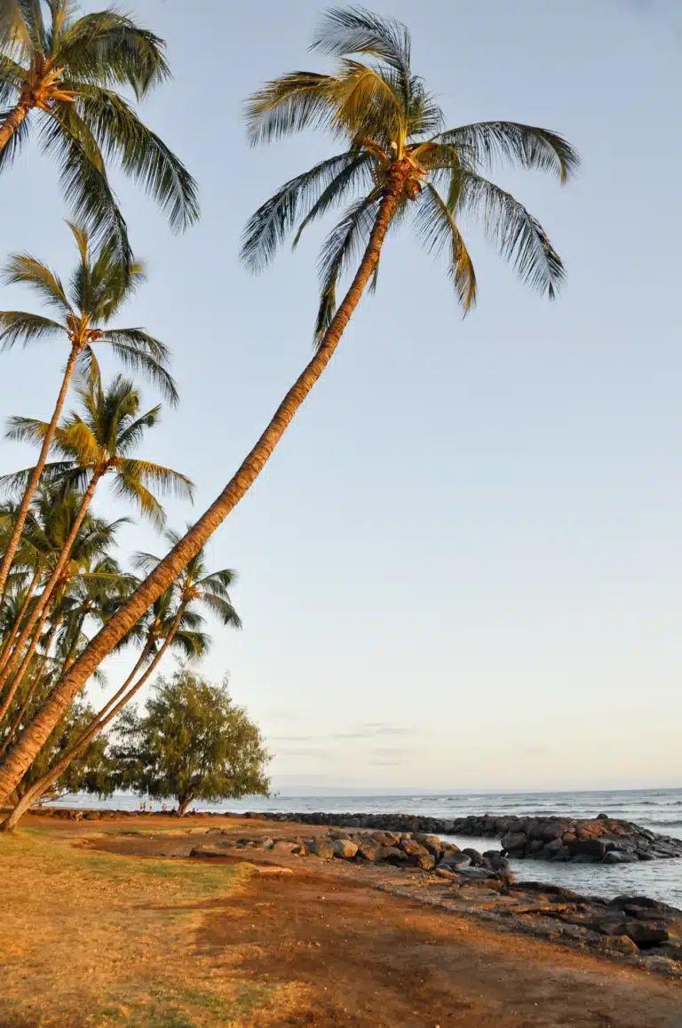 Launiupoko Beach Park is a Beach located in the city of Lahaina on Maui, Hawaii