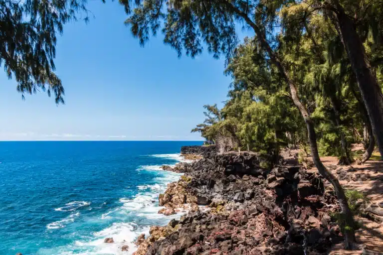 MacKenzie State Recreation Area is a State Park located in the city of Pahoa on Big Island, Hawaii