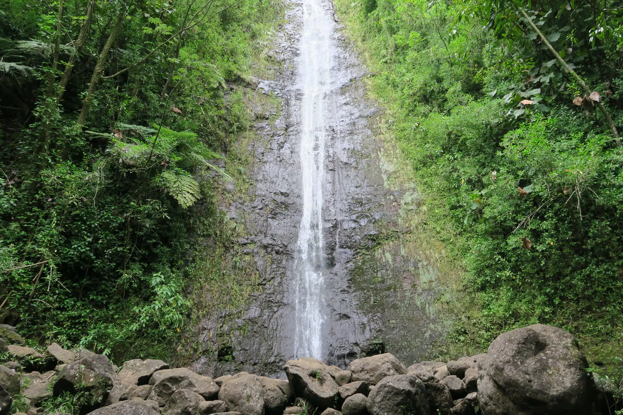Manoa Falls Trail is a Hiking Trail located in the city of Honolulu on Oahu, Hawaii