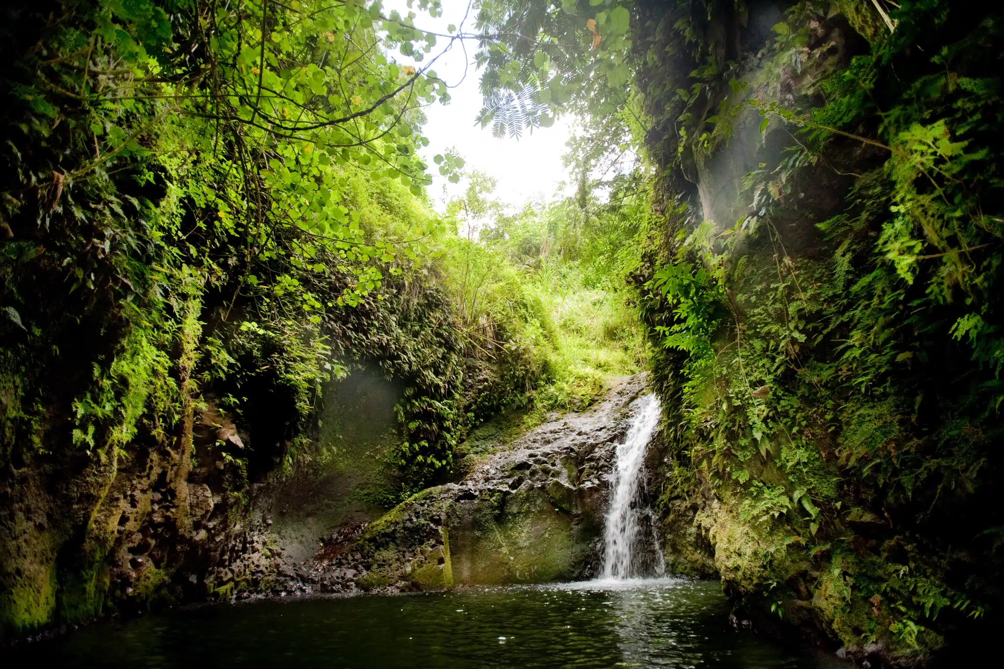 Maunawili Falls is a Waterfall located in the city of Kailua on Oahu, Hawaii