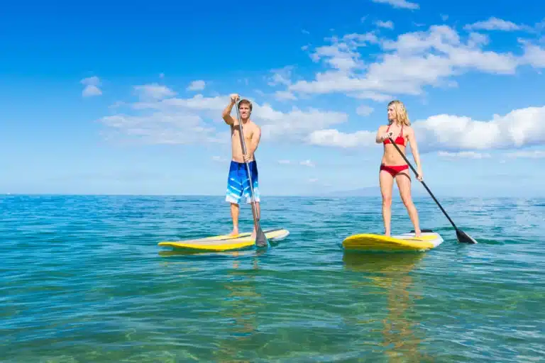 North Shore Adventure Tour is a Land Activity located in the city of Honolulu on Oahu, Hawaii