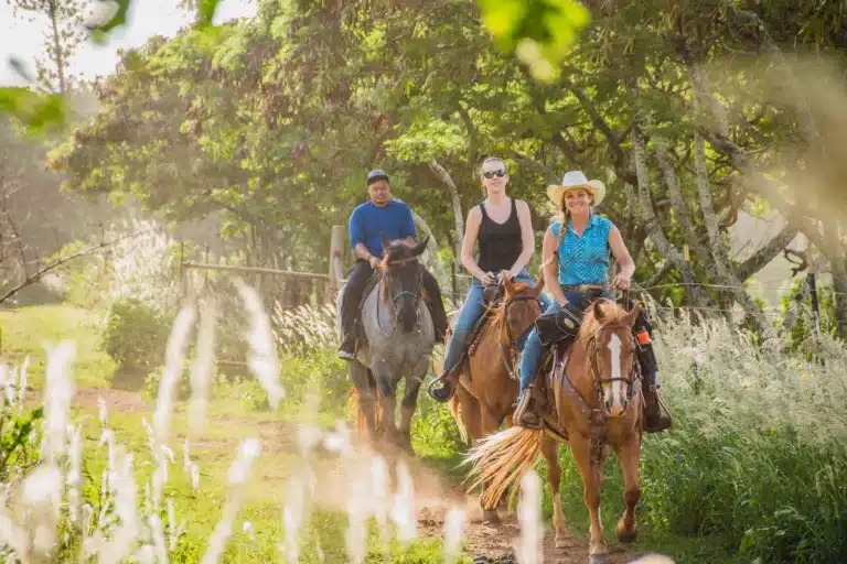 North Shore Horseback Riding With Lunch is a Land Activity located in the city of Honolulu on Oahu, Hawaii