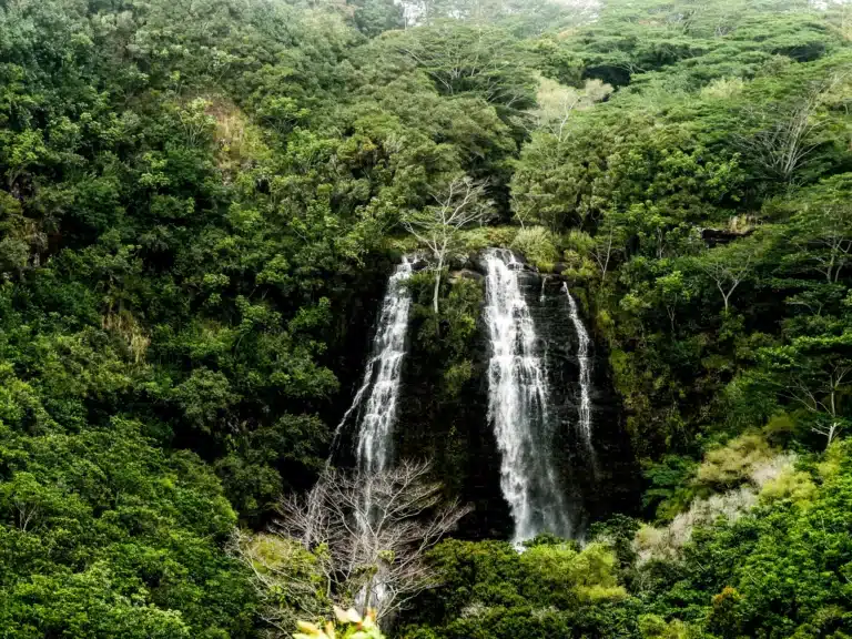 Opaeka'a Falls is a Waterfall located in the city of Kapaa on Kauai, Hawaii