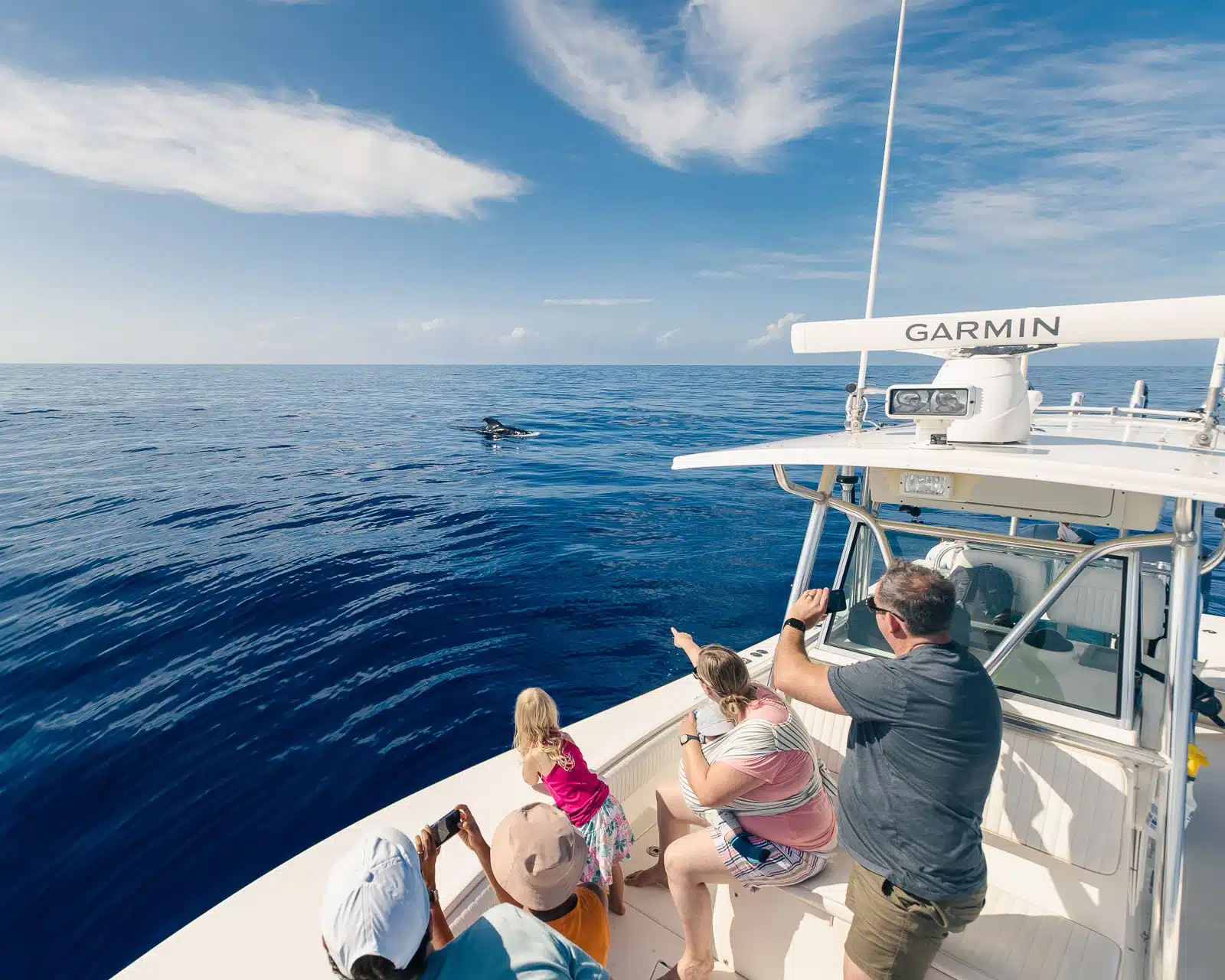 Private Dolphin/Whale Watch is a Water Activity located in the city of Kailua-Kona on Big Island, Hawaii