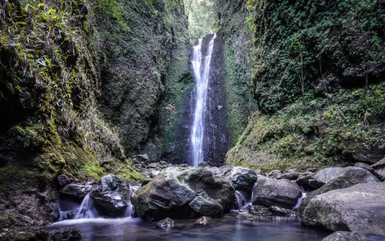 Punalau Falls is a Waterfall located in the city of Hana on Maui, Hawaii