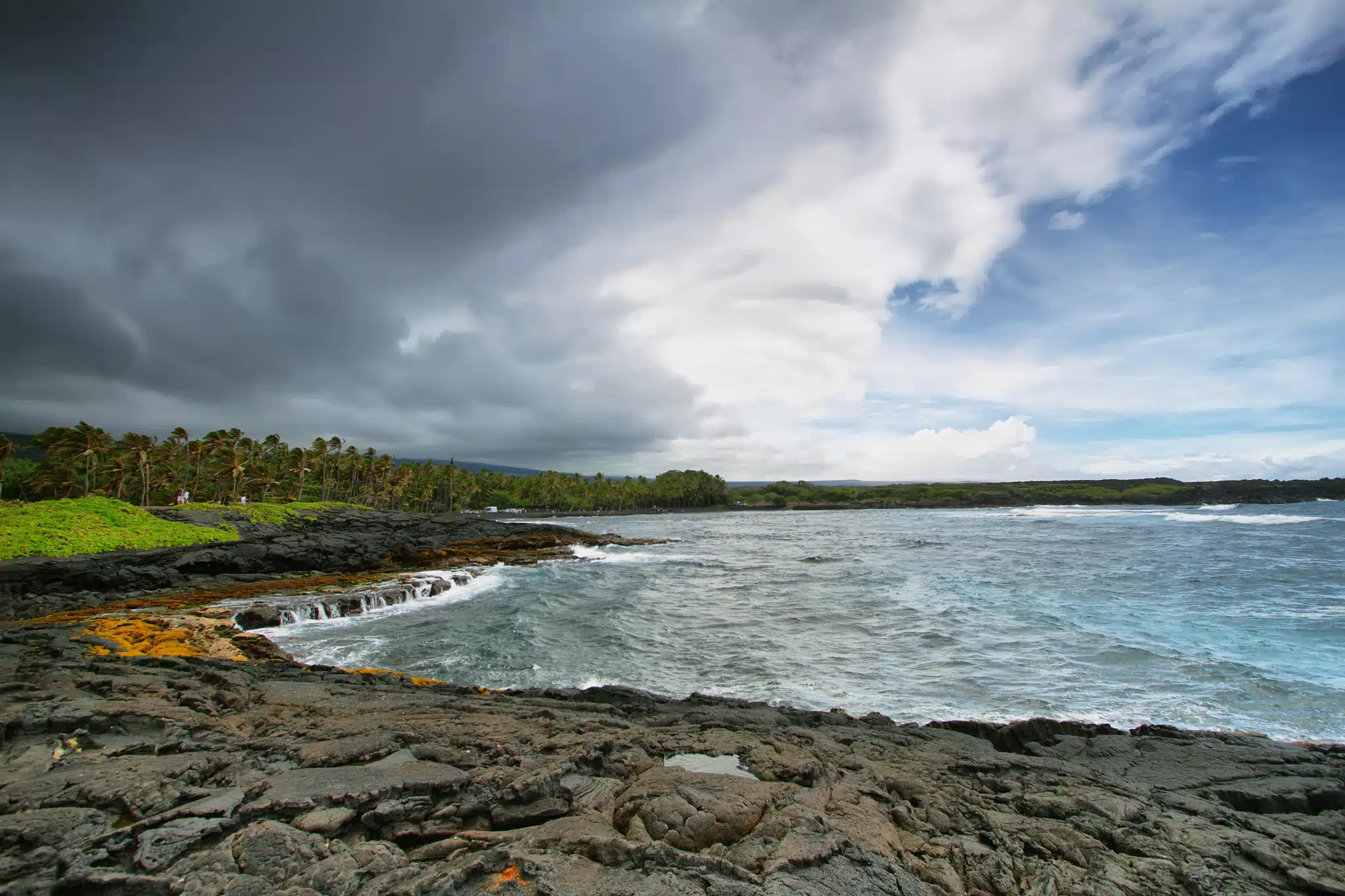 Punalu'u Black Sand Beach is a Beach located in the city of Pahala on Big Island, Hawaii