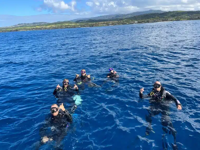 South Island Boat Adventure Dive is a Boat Activity located in the city of Koloa on Kauai, Hawaii