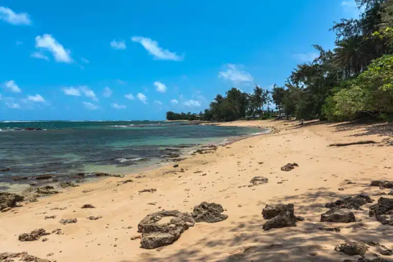 Turtle Bay (Kawela) is a Beach located in the city of Kahuku on Oahu, Hawaii