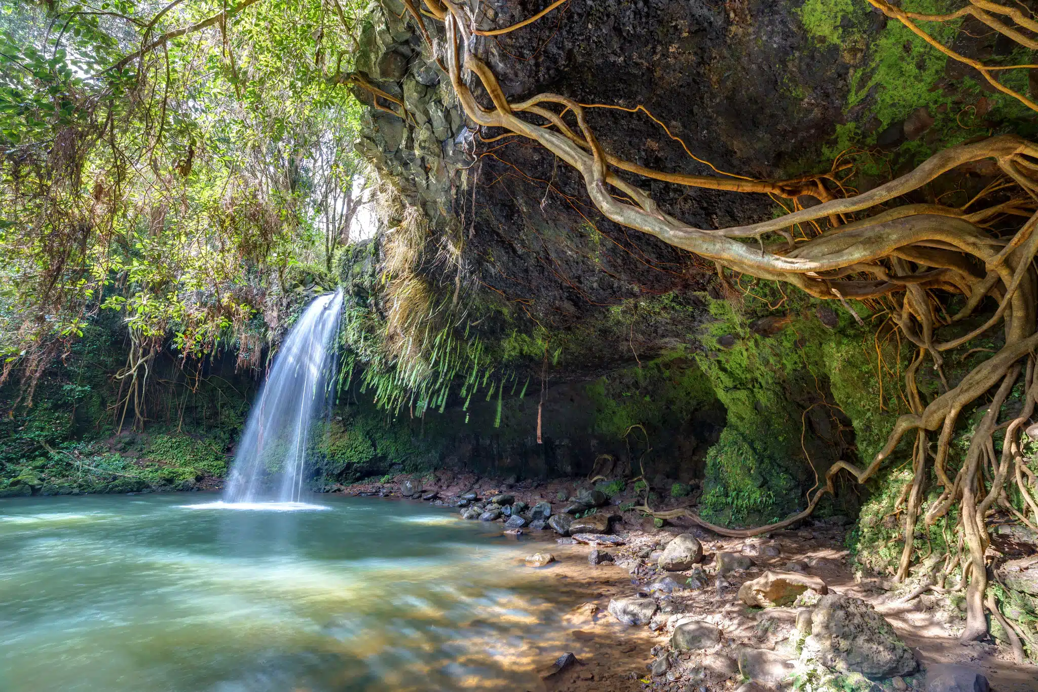 Twin Falls Maui Hike is a Hiking Trail located in the city of Haiku on Maui, Hawaii