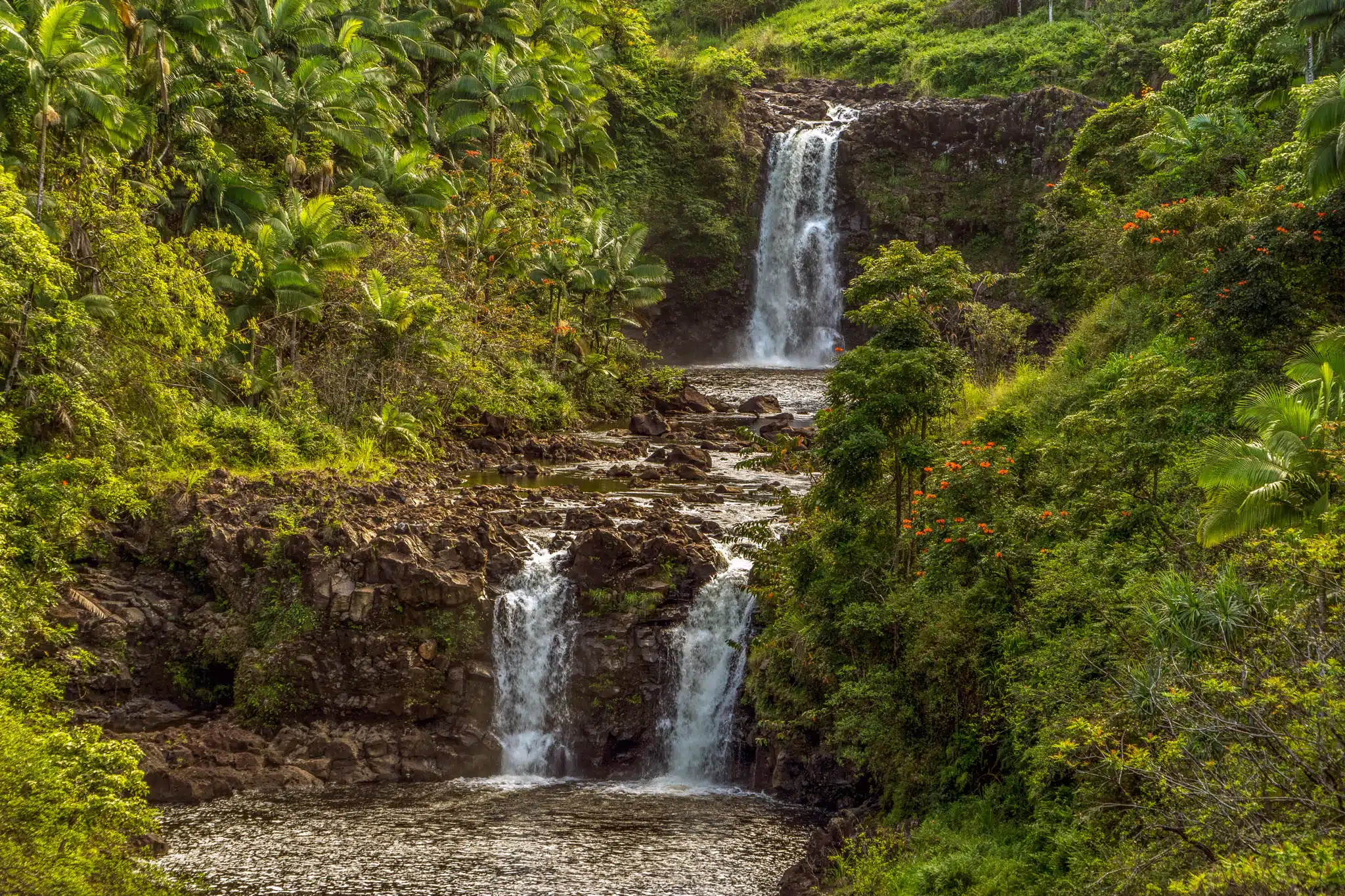 Umauma Falls is a Waterfall located in the city of Honomu on Big Island, Hawaii