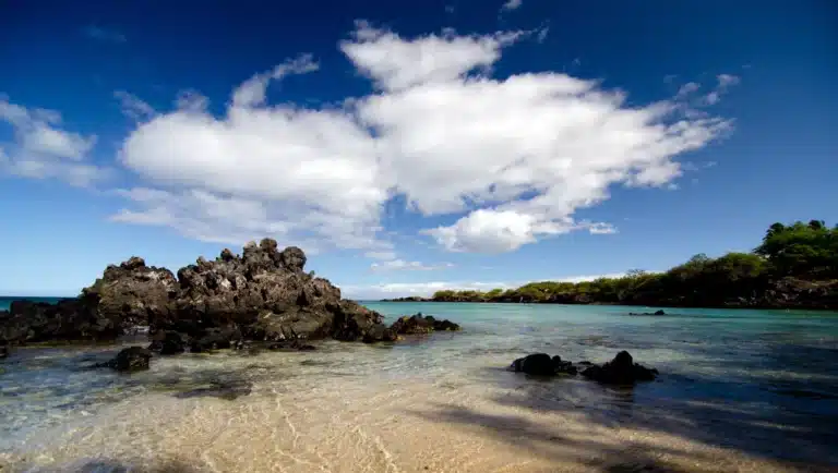 Waialea (Beach 69): Beach Attraction in the town of Kamuela on Big Island