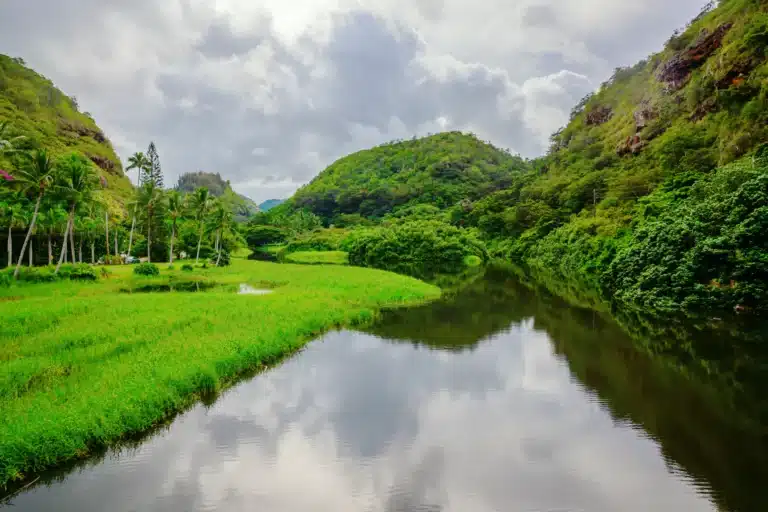 Waimea Valley is a Heritage Site located in the city of Haleiwa on Oahu, Hawaii