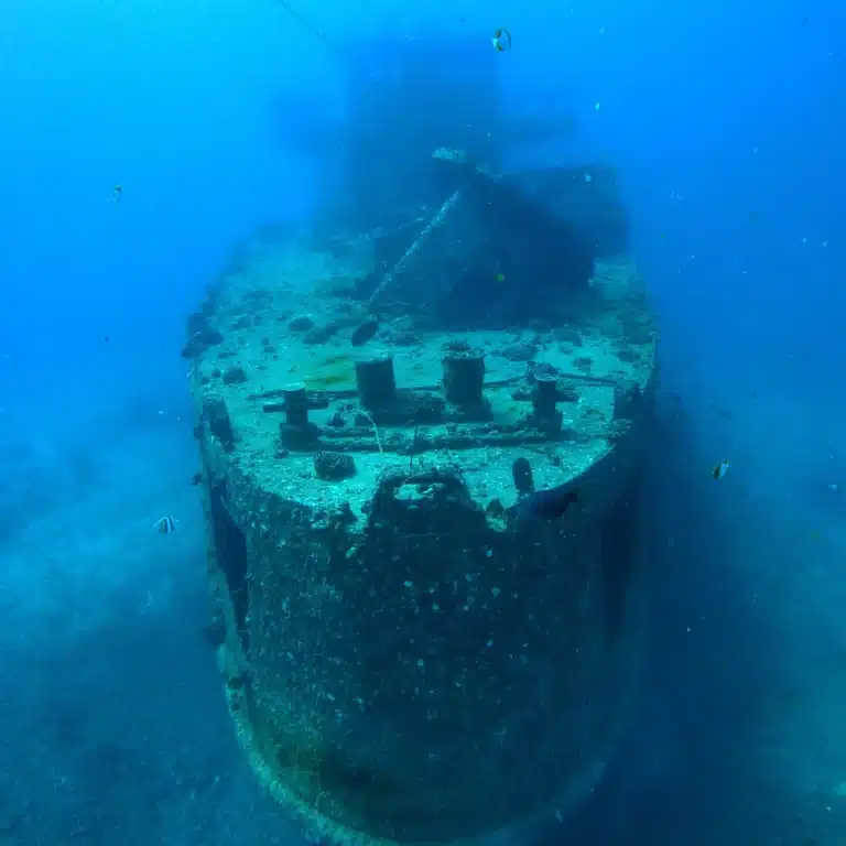 Wreck & Reef Tour is a Water Activity located in the city of Honolulu on Oahu, Hawaii
