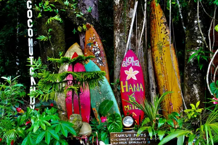 Aloha Spirit: Understanding its Meaning and Importance in Hawaii