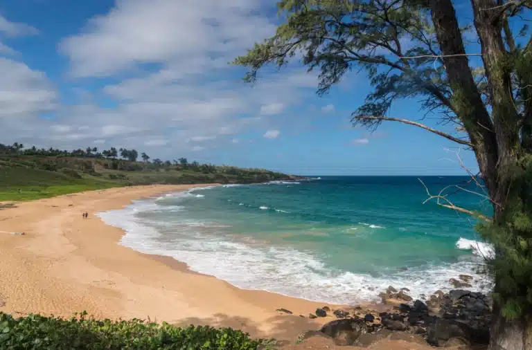 Donkey Beach is a Beach located in the city of Anahola on Kauai, Hawaii