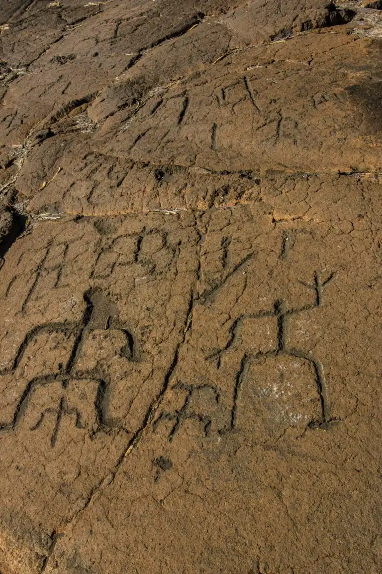 Exploring Hawaiian Petroglyphs: Stories in Stone
