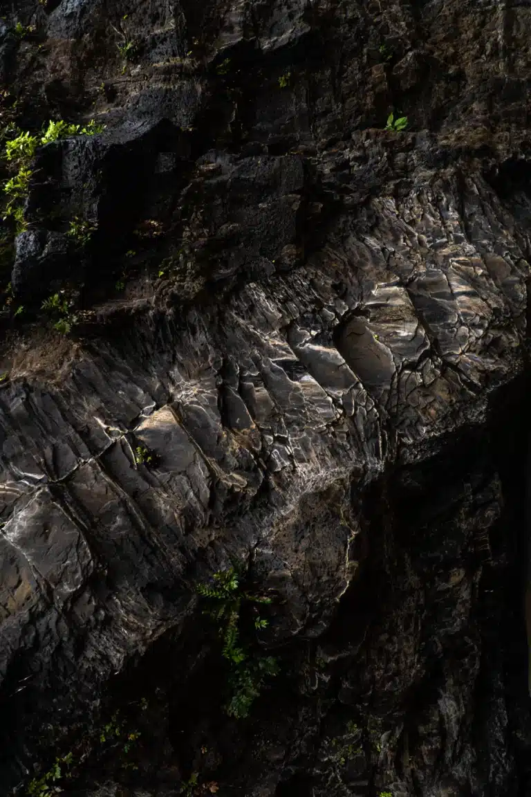 Hawaii's Cave Ecosystems: A Hidden World