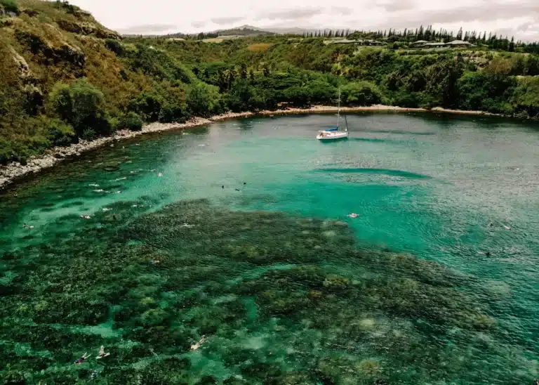Honolua Bay is a Beach located in the city of Kapalua on Maui, Hawaii