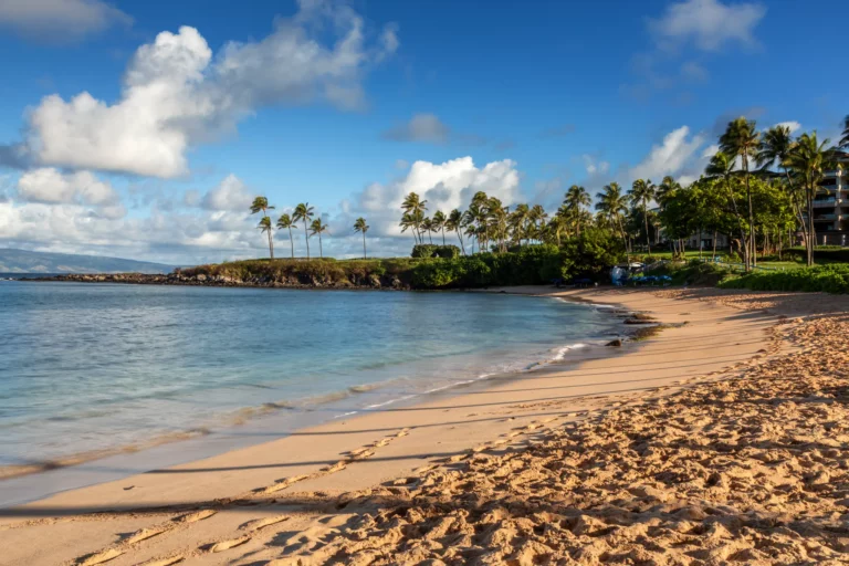 Kapalua Bay is a Beach located in the city of Kapalua on Maui, Hawaii