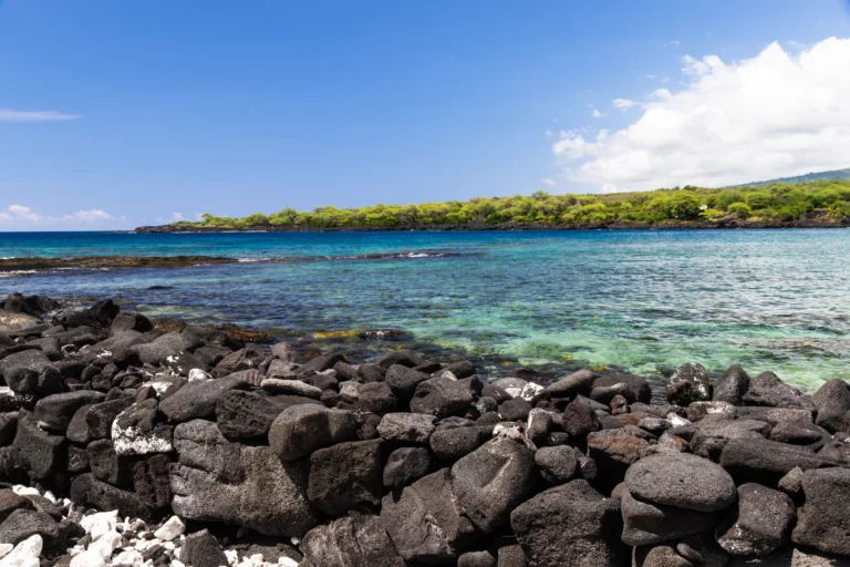 Kealakekua Bay is a Beach located in the city of Captain Cook on Big Island, Hawaii