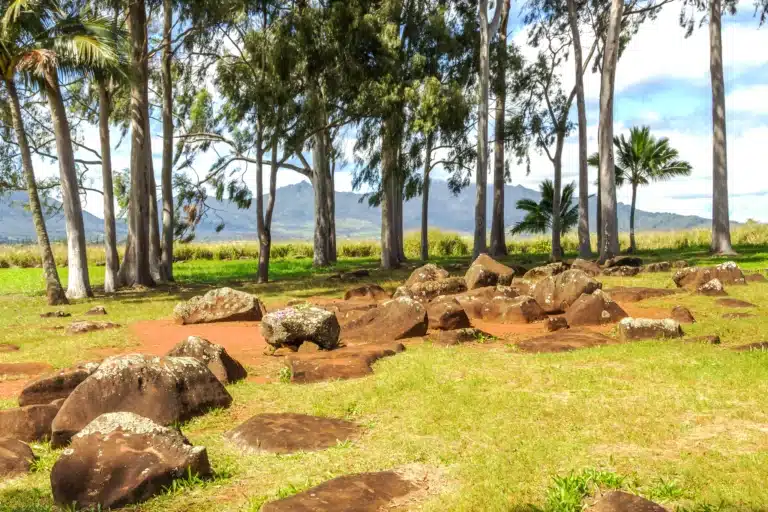 Kukaniloko Birthing Stones is a Heritage Site located in the city of Wahiawa on Oahu, Hawaii