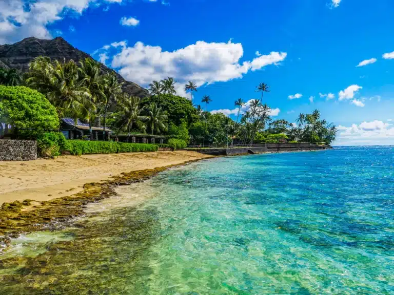 Makalei Beach Park is a Beach located in the city of Honolulu on Oahu, Hawaii